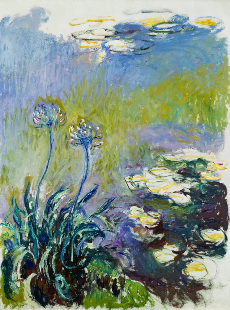 The Agapanthus a Claude Monet
