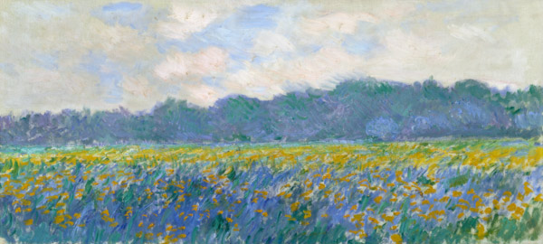 Field of Yellow Irises at Giverny a Claude Monet