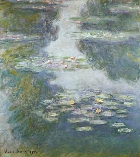 Waterlilies, Nympheas