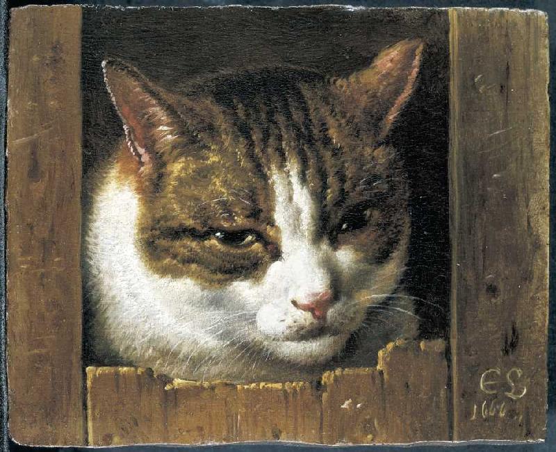 Eine Katze guckt durch einen Zaun a Cornelis Saftleven