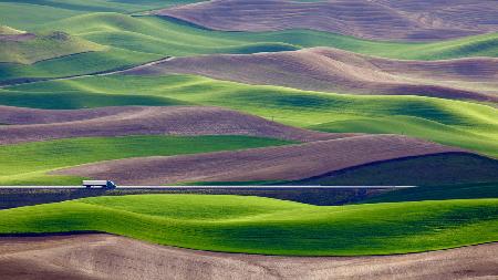 Driving in the wheat field at Palouse