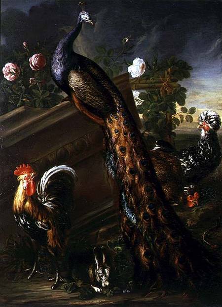 Peacock and Cockerels a David de Koninck