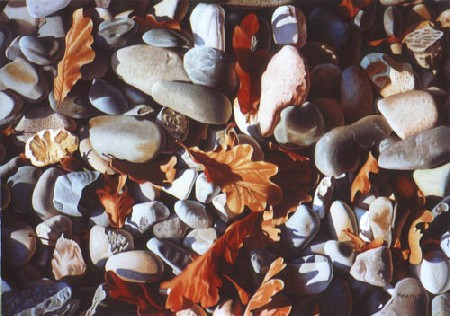 Oak leaves pebble a Dietrich Moravec