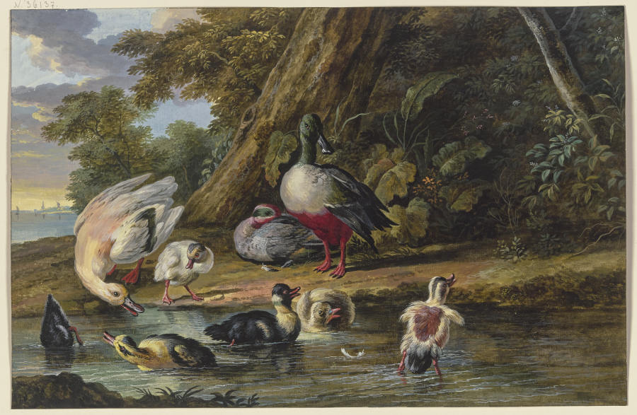 Zwei Enten mit ihren Jungen am Wasser a Dirck Dalens III