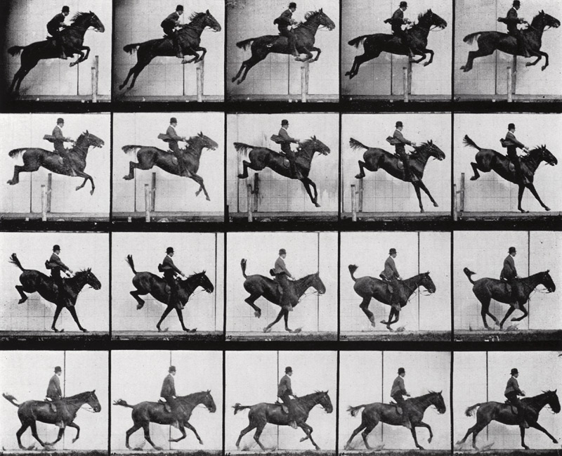 Man and Horse jumping, from ''Animals in Motion'' by Muybridge, London, published 1907 (b/w photo)  a Eadweard Muybridge