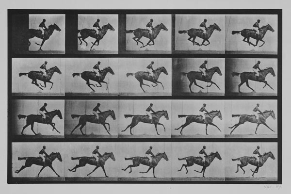 Jockey on a galloping horse, plate 627 from "Animal Locomotion" a Eadweard Muybridge