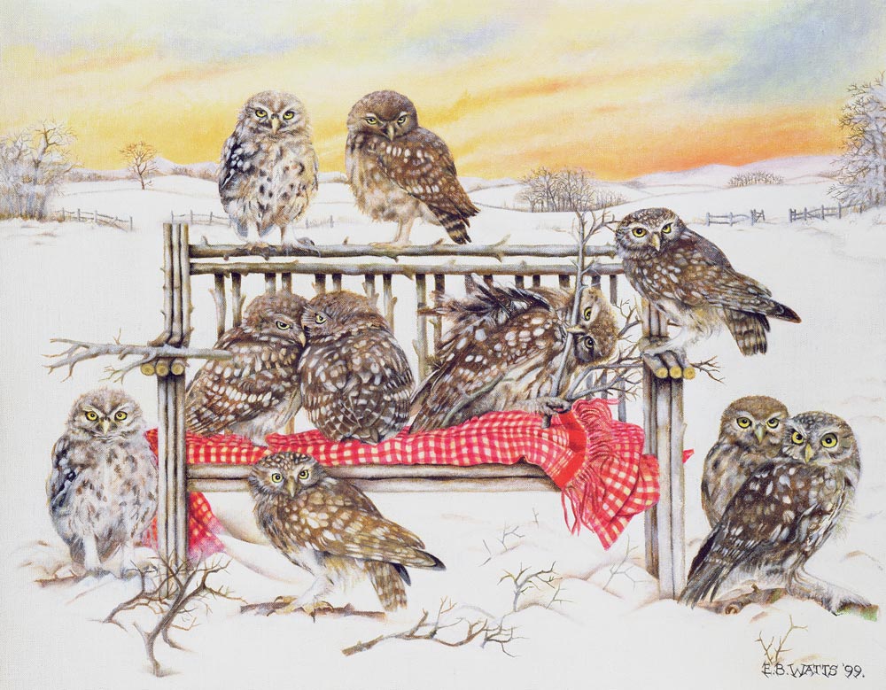 Little Owls on Twig Bench, 1999 (acrylic on canvas)  a E.B.  Watts