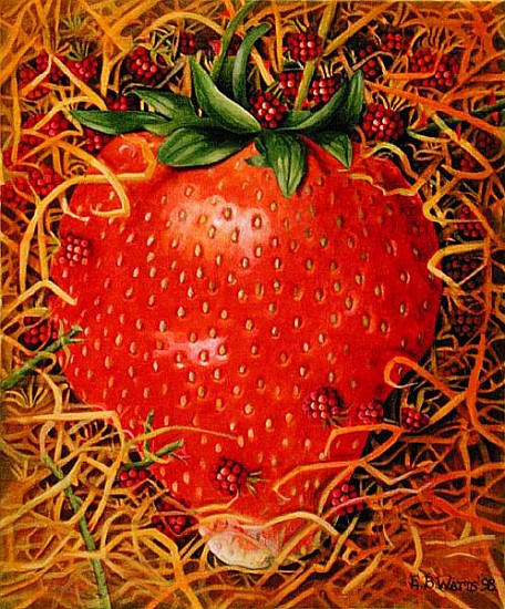 Strawberry in Straw, 1998 (acrylic on canvas)  a E.B.  Watts