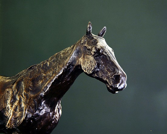 Horse''s Head (bronze) (detail of 335585) a Edgar Degas