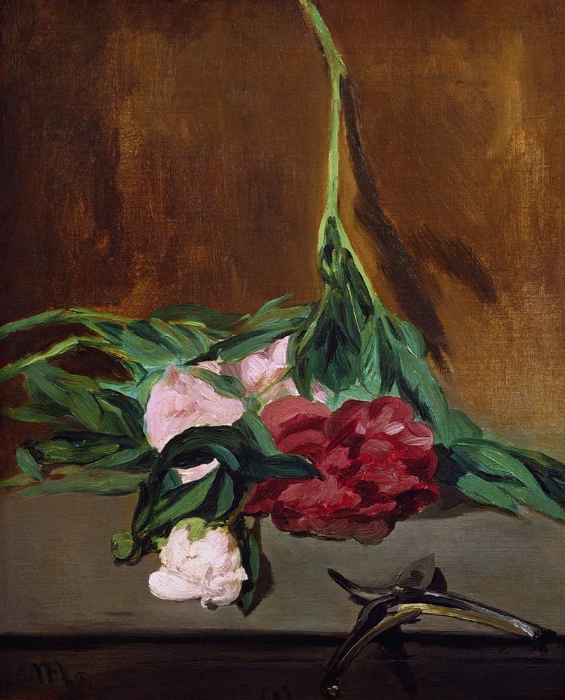 Stem of Peonies and Secateurs a Edouard Manet