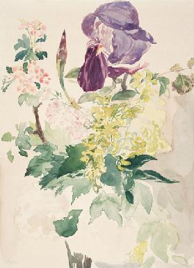 Pezzo floreale con Iris, Laburnum e Geranio