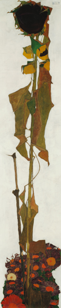 Sunflower a Egon Schiele