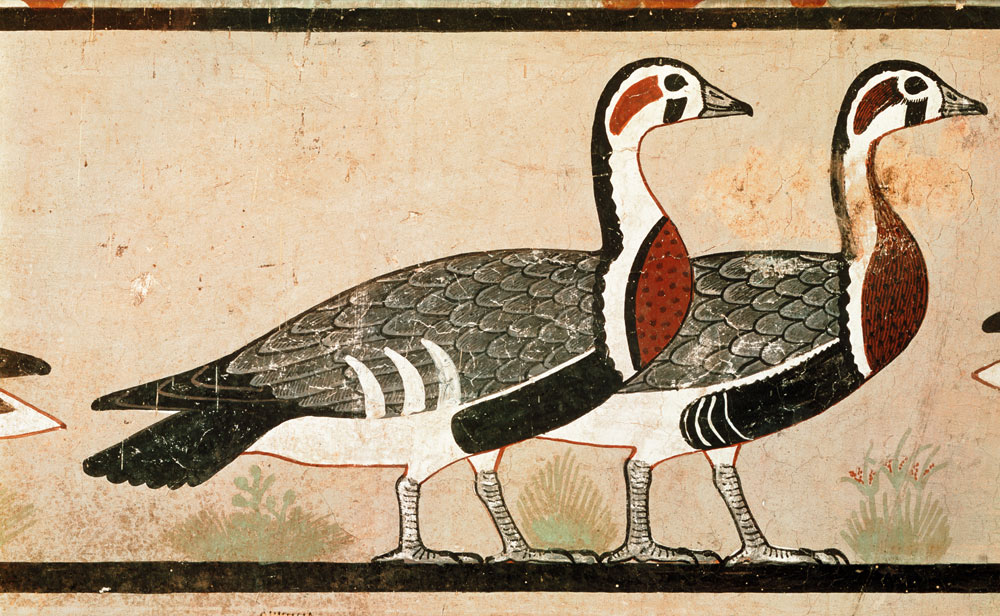 Meidum geese, from the Tomb of Nefermaat and Atet, Old Kingdom a Egizi