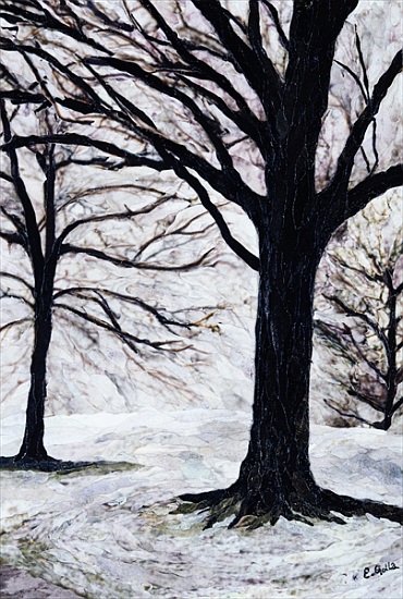 Winter Trees, Greenwich Park a Ellen  Golla