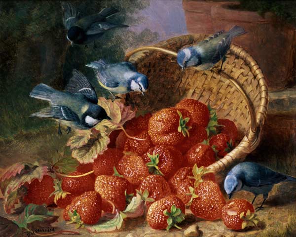Still Life with Strawberries and Bluetits a Eloise Harriet Stannard