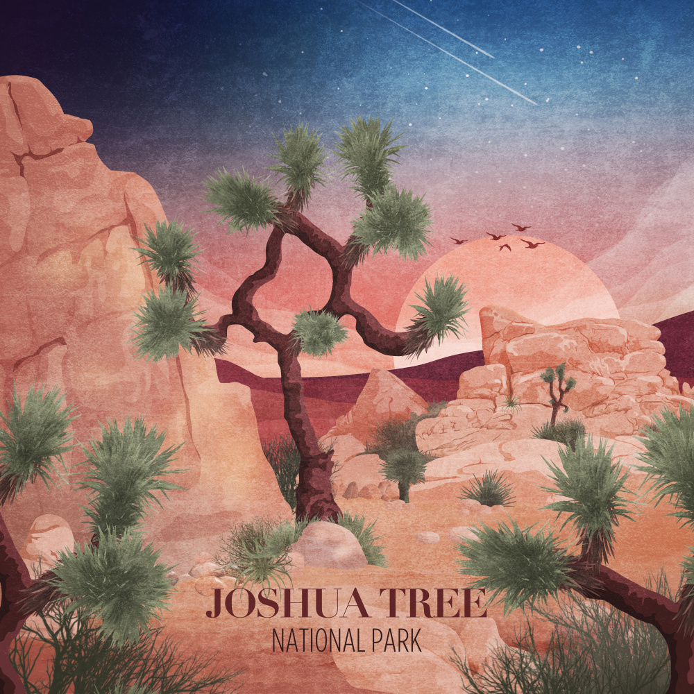 Joshua Tree a Emel Tunaboylu