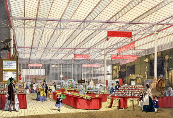 Colonial Produce in the Great Exhibition of 1851, from Dickinson's Comprehensive Pictures (coloured a English School, (19th century)