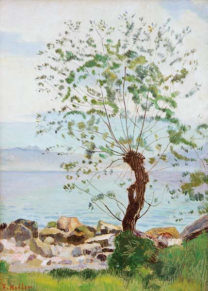Willow at the Lake a Ferdinand Hodler