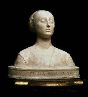 Battista Sforza, duca di Urbino