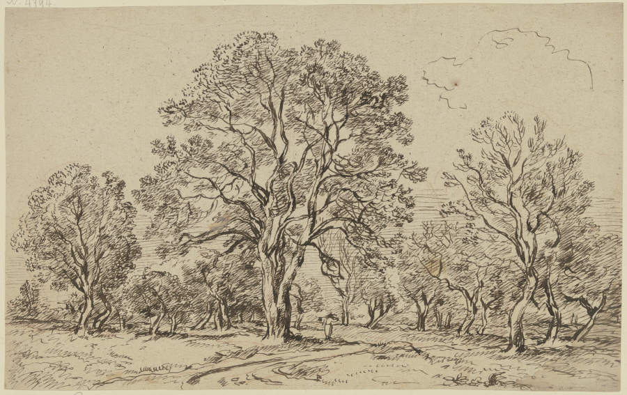 Group of tall trees a Franz Innocenz Josef Kobell