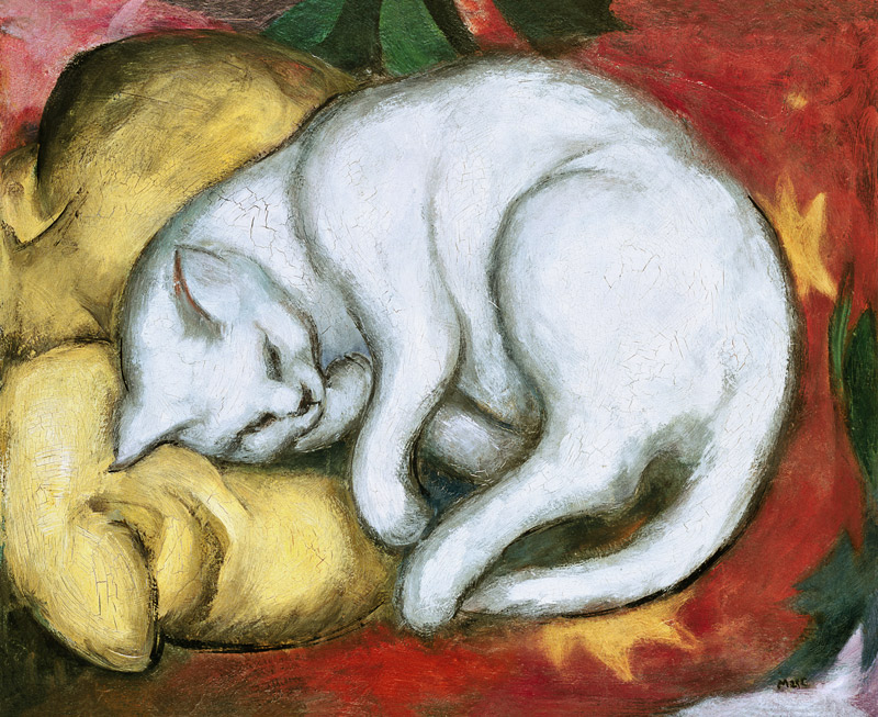 Gatto su cuscino giallo - Franz Marc come stampa d\'arte o dipinto.