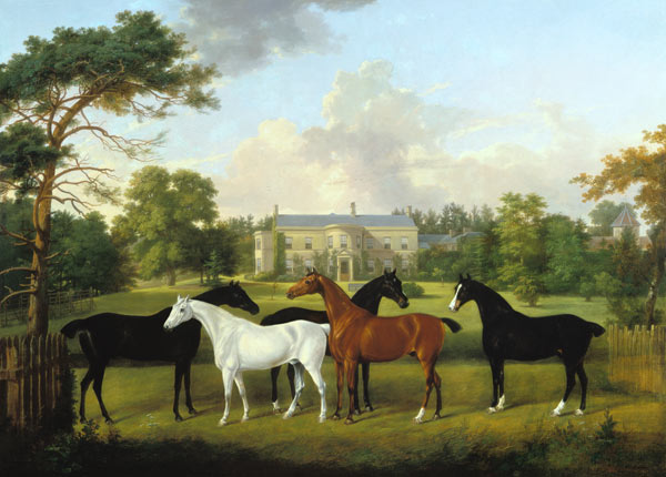 Cinque cavalli di corsa a Frederick W. Keyl