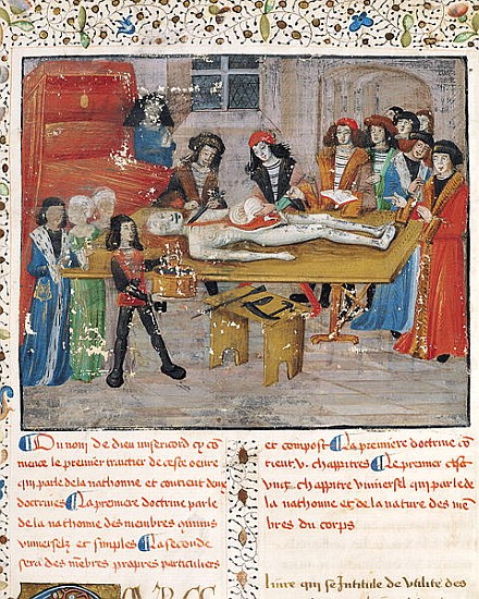 Ms H 184 fol.14v Dissection lesson at the Faculty of Medicine in Montpellier, from ''La Grande Chiru a Scuola Francese