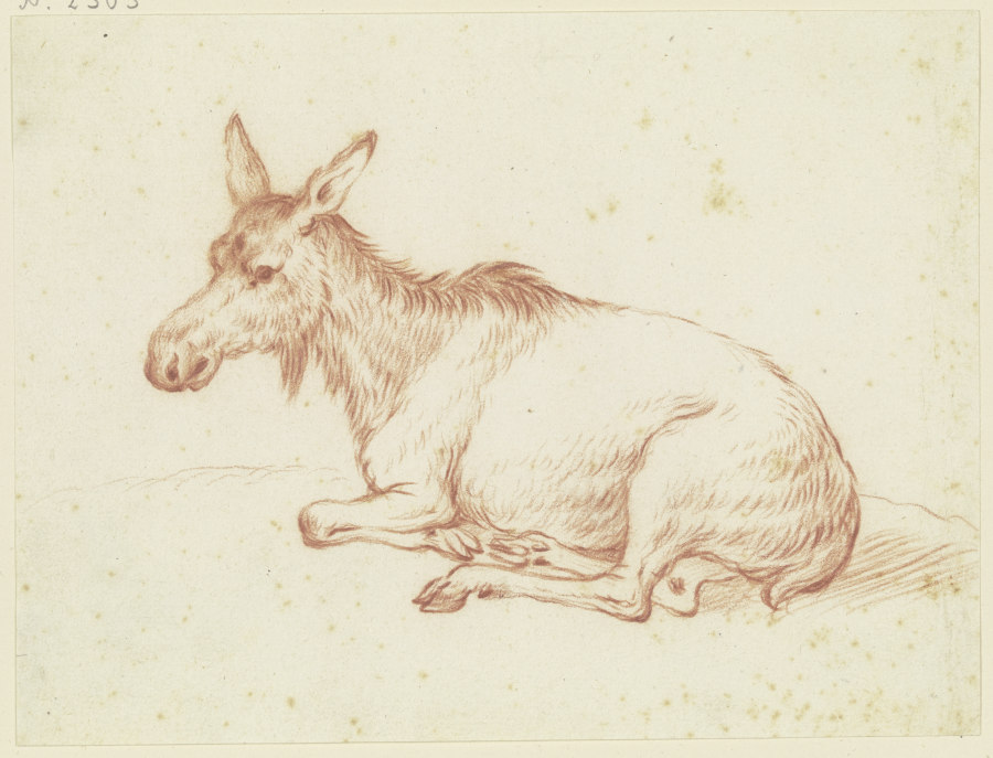 Liegender Esel nach links a Friedrich Wilhelm Hirt