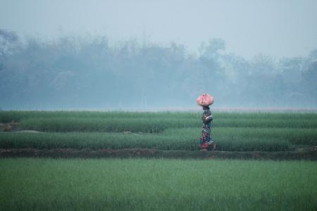 Tribe women