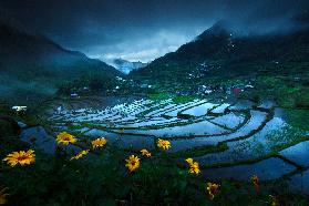 Batad Rice Terraces