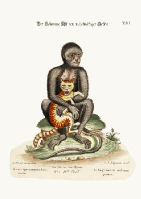 The Middle-sized Black Monkey