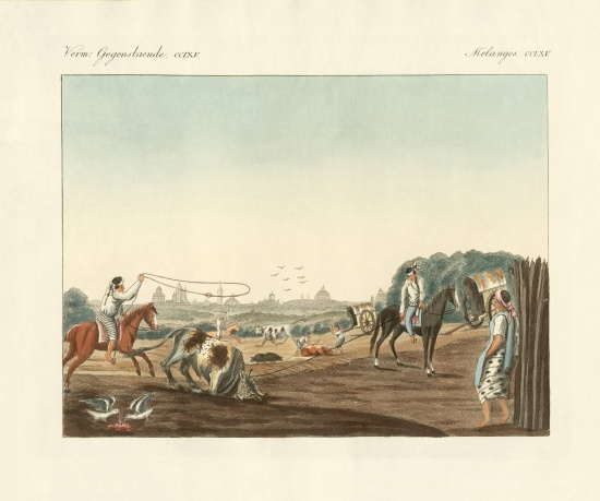 The South of Matadero, one of the public slaughterhouses of Buenos Aires a German School, (19th century)