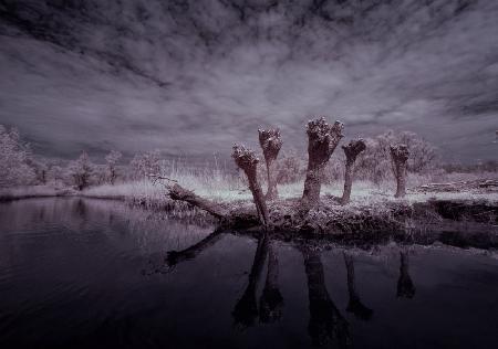 Waiting for the witches infrared