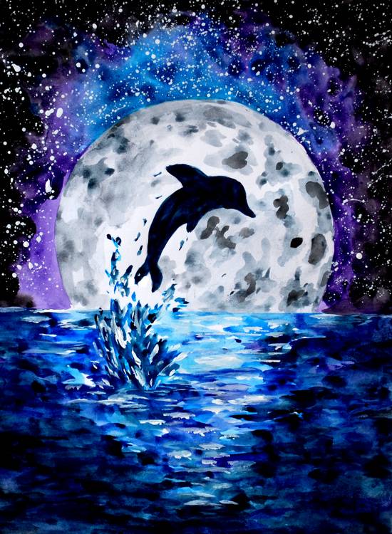Delphin Ozean und Mond a Sebastian  Grafmann