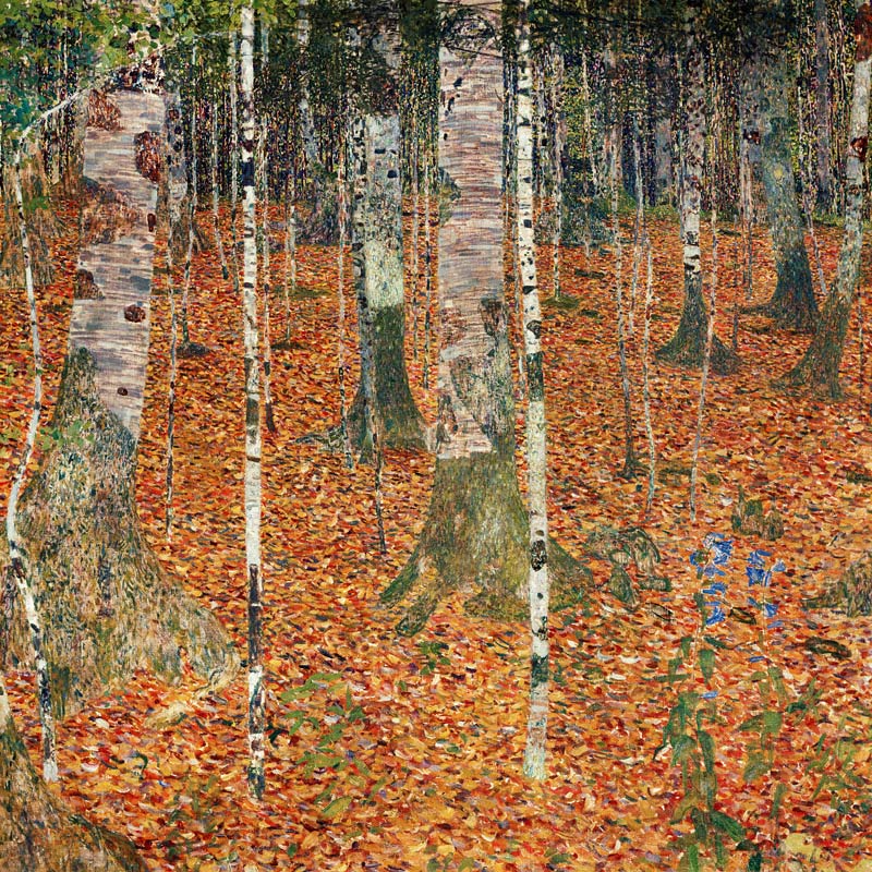 Alberi di betulla in autunno a Gustav Klimt