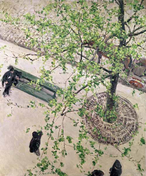 The Boulevard Viewed from Above a Gustave Caillebotte