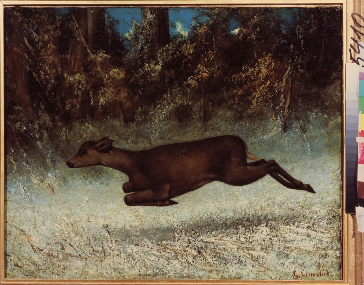 Doe leaping a Gustave Courbet