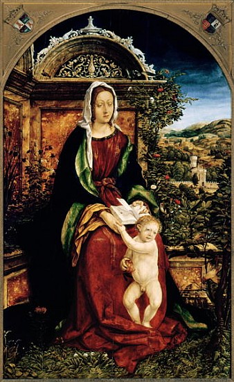 The Virgin and Child a Hans Burgkmair