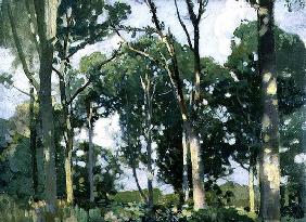 Trees in sunlight (panel)