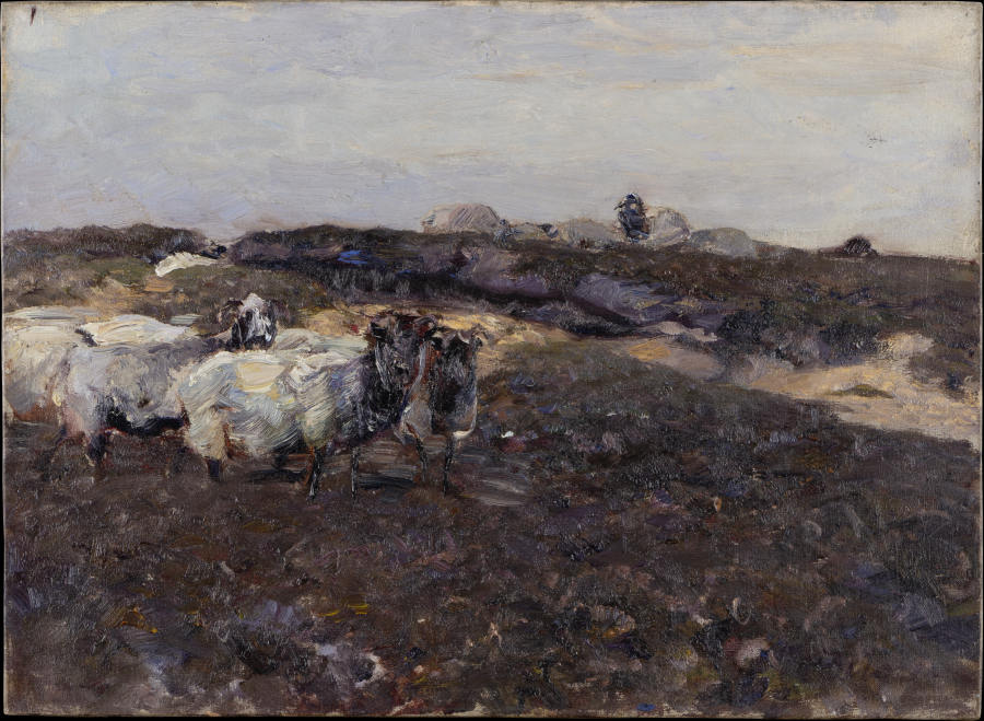 Sheeps in Moorland a Heinrich von Zügel
