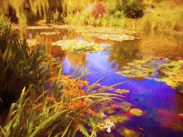 Giverny Waterlilies a Helen White