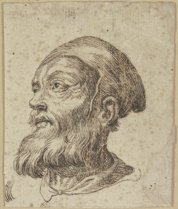 Kopf eines alten Mannes im Dreiviertelprofil nach links a Hendrick Goltzius