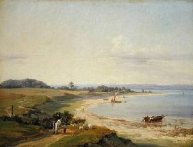 Coastal Landscape