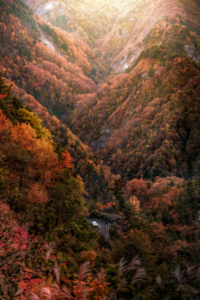 run through the fall a まちゅばら/Hiroki Matsubara