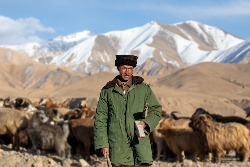 Shepherd a Hsiao-Yang Fei
