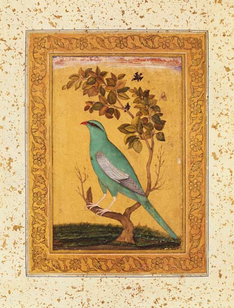 Green Bird, Mughal a Scuola indiana