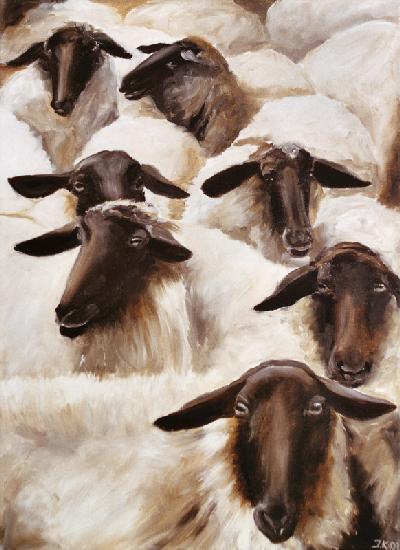 Sheep 2001