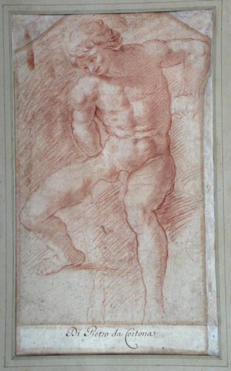 Study of a seated male nude a Scuola pittorica italiana