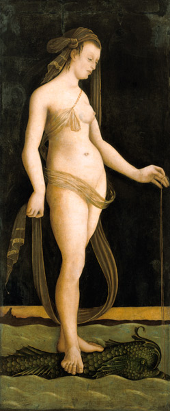 Galathea, on a dolphin standing. a Jacopo de Barbari