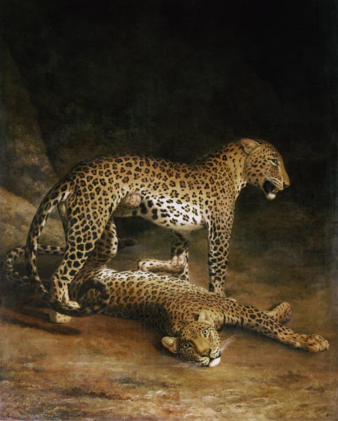 Two Leopards Lying In The Exeter Exchange a Jacques-Laurent Agasse
